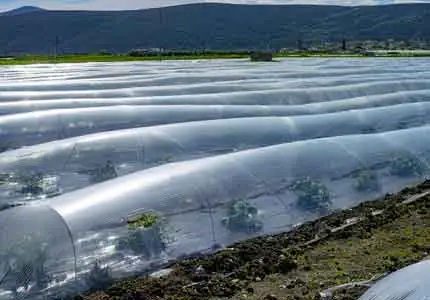 Tarımda polimer stabilizatörleri uygulaması