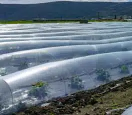 Tarımda polimer stabilizatörleri uygulaması