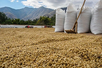 Polimer antioksidanların üretim süreci